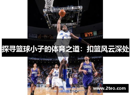 探寻篮球小子的体育之道:扣篮风云深处